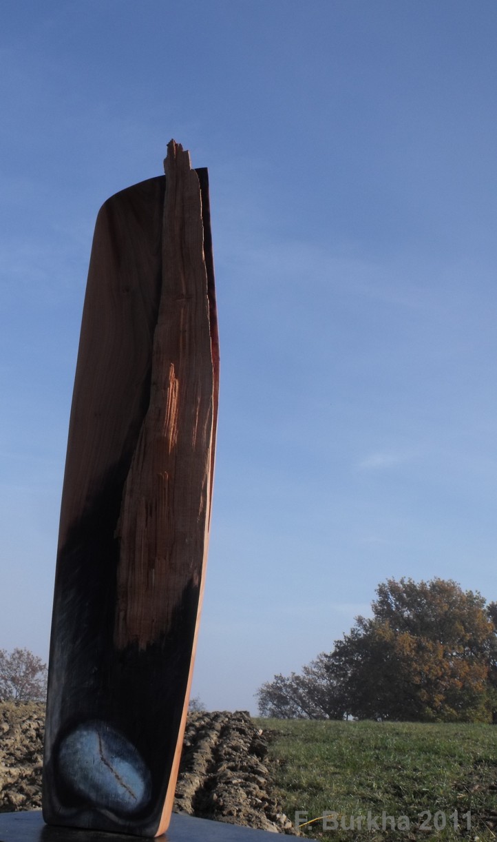 f_burkha_rouille3_2011