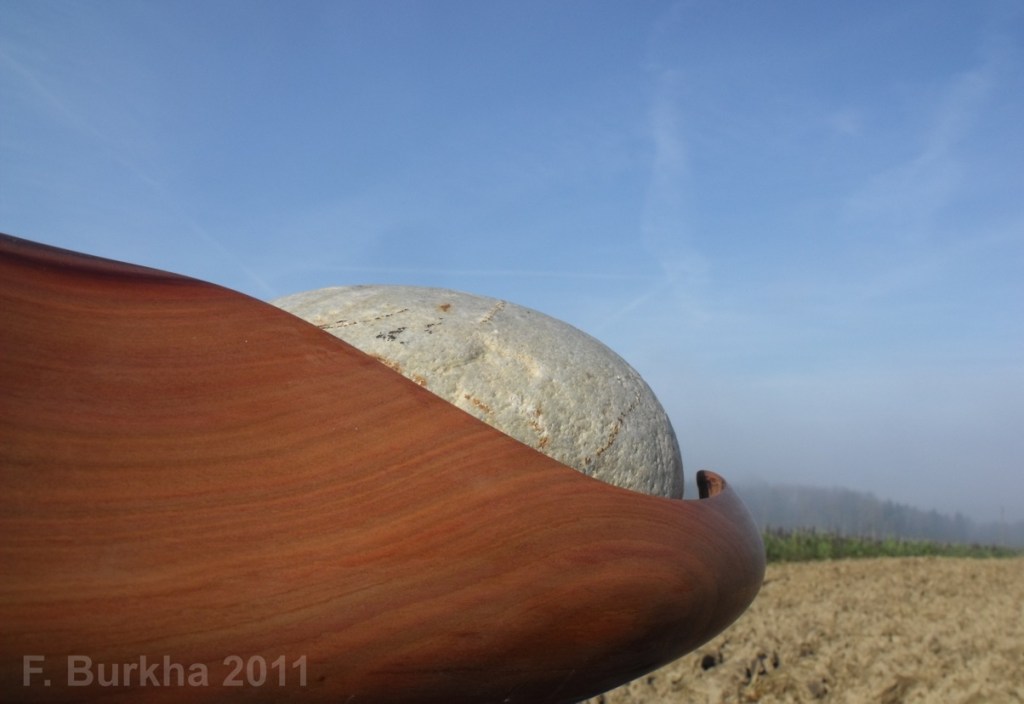 f_burkha_spirale_b_2011 "spirale" prunier et pierre de moraine