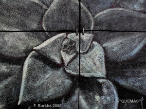 QUEMAS (détail), acrylique et cendres volcanique sur bois, acier, terre, 2008