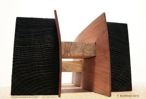 STUDIO-ARCHITECTURE_F-Burkha_PUENTES_2012