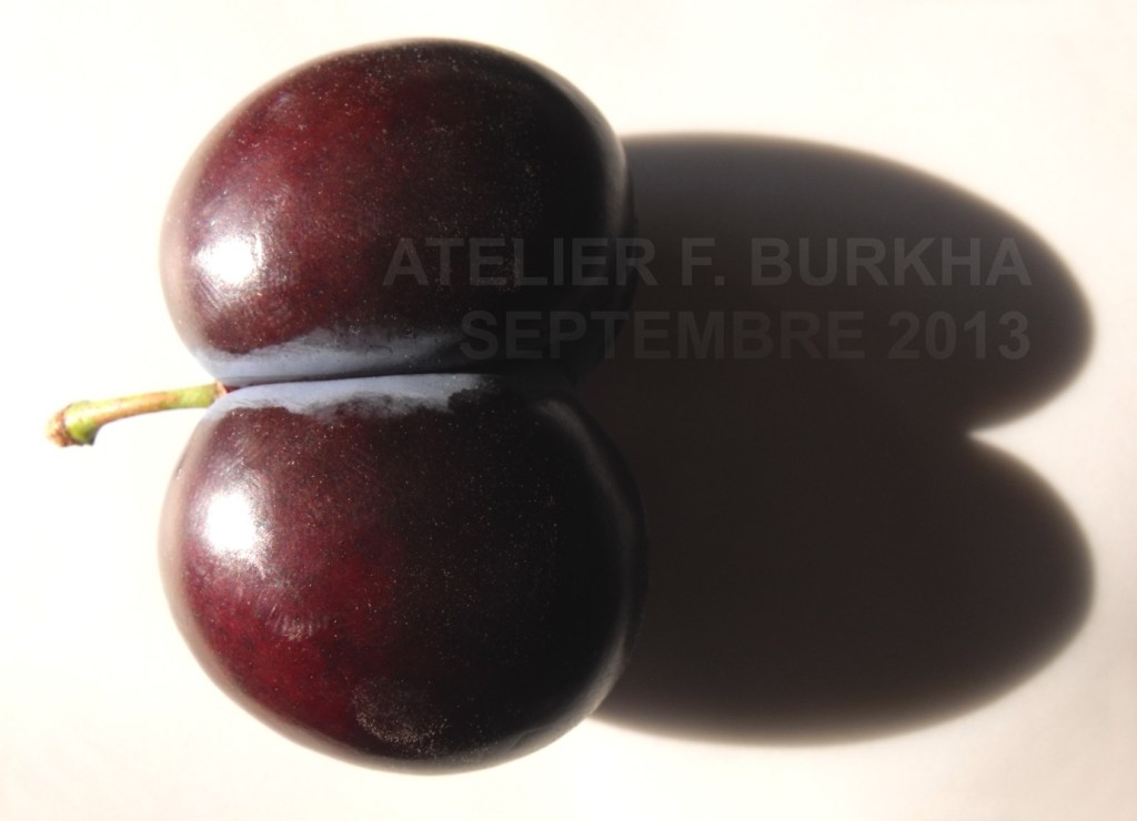 atelier-f-burkha-septembre-2013_le-fruit_01