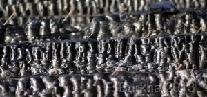 LES PLANCHES f burrkha janvier 2013