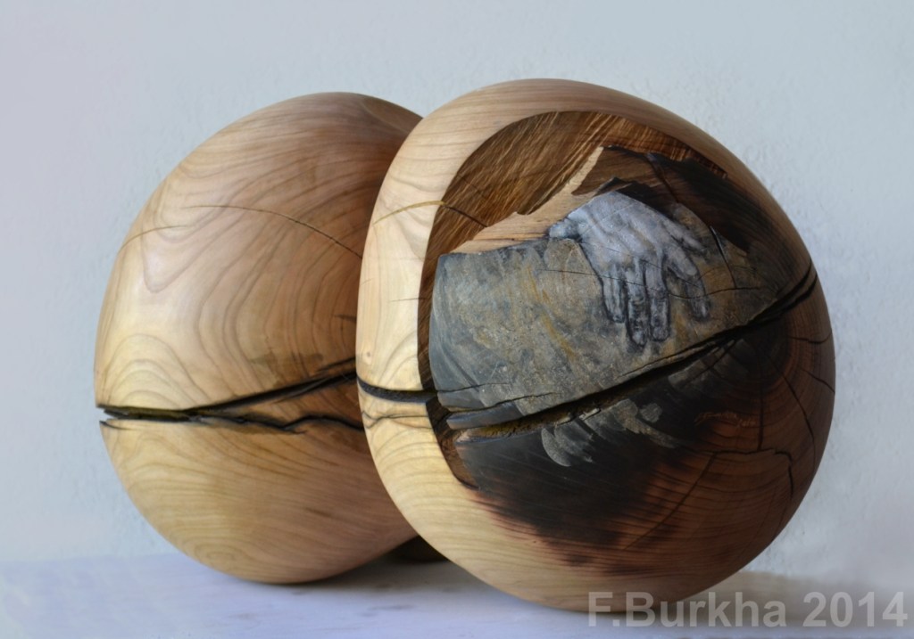 F Burkha automne (1) 2014