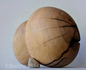 F Burkha automne (3) 2014