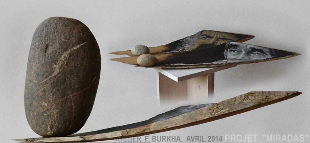 atelier F BURKHA 2014 proyecto MIRADAS