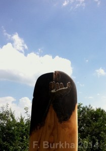 F Burkha expo CONCISE 2014 b