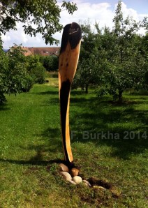 F Burkha expo CONCISE 2014 c