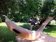 GALERIE DU NOYER CONCISE 2014 F Burkha 04