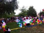 GALERIE DU NOYER CONCISE 2014 F Burkha 07