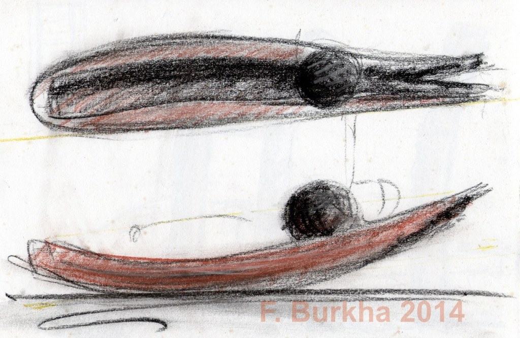 F Burkha esquisse pierre noire 2014