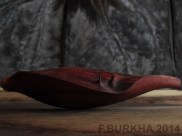 F BURKHA 2014 enredadera 01