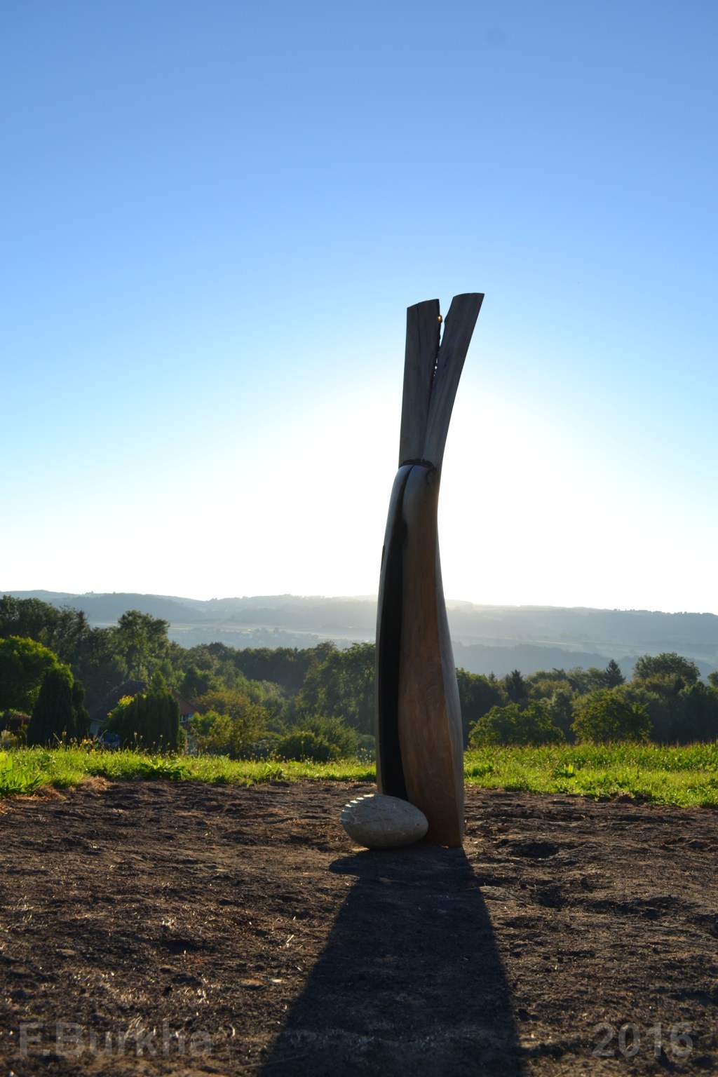 f-burkha-2016-arbre-creux-01