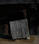 10 alcacalde ser-o-no-ser F-Burkha&nbsp;2017