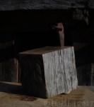 11 alcacalde ser-o-no-ser F-Burkha&nbsp;2017