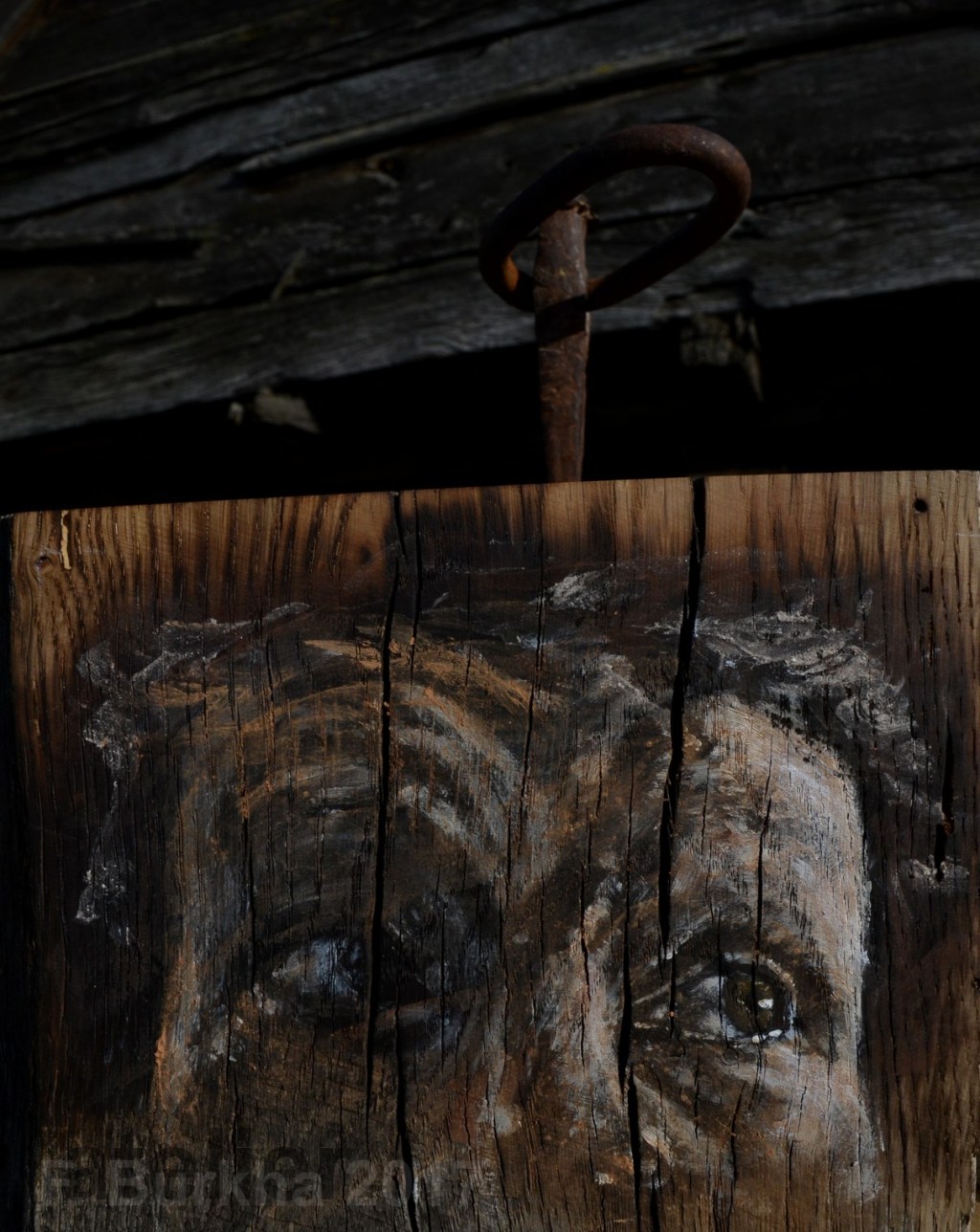 12 alcacalde ser-o-no-ser F-Burkha 2017