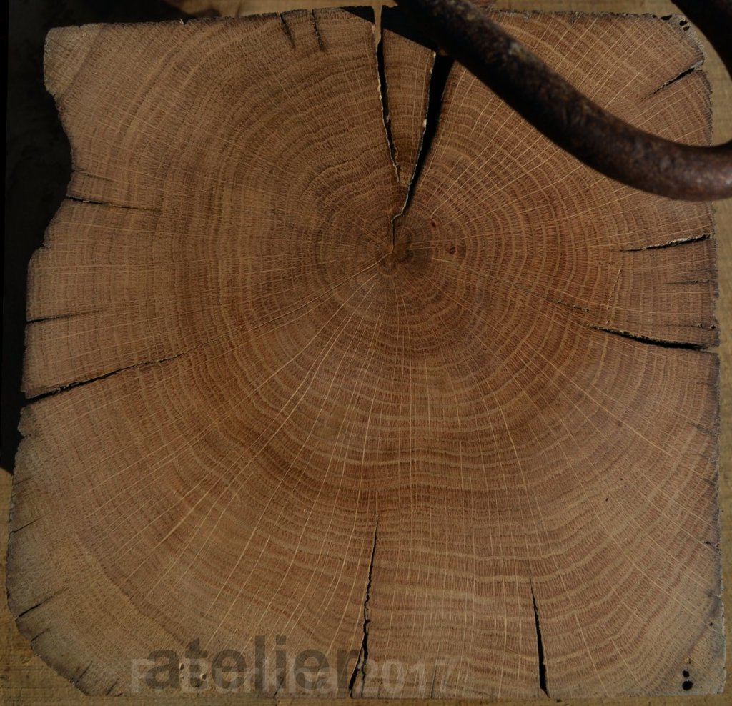 16 alcacalde ser-o-no-ser F-Burkha 2017