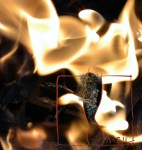 ARGIL logo FEU F-Burkha 07-02-2018&nbsp;B