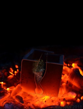 logo ARGIL BRAISES 09-02-2018 C