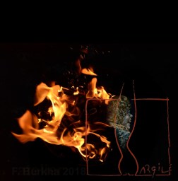 logo ARGIL FEU 09-02-2018 C