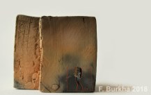 projet Logo ARGIL F-burkha 09-02-2018