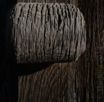 ATELIER F-Burkha 1553-2018&nbsp;a