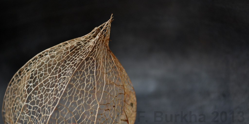 F-Burkha boule rouge 2013