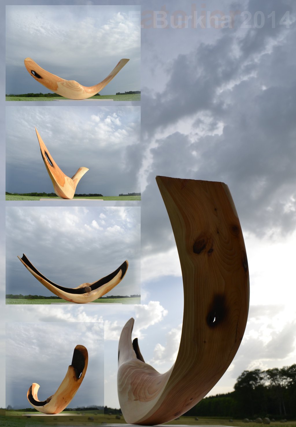 F-Burkha rio-styx 2014