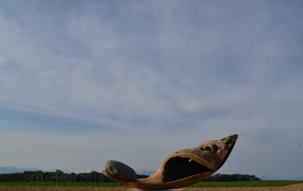 CHIMERE F-Burkha a 2018