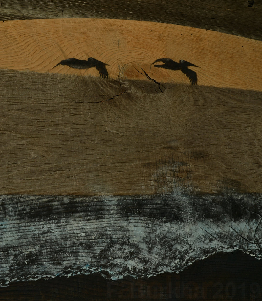 la Vague ICONOGRAPHIE DES PELICANS F-Burkha 2019