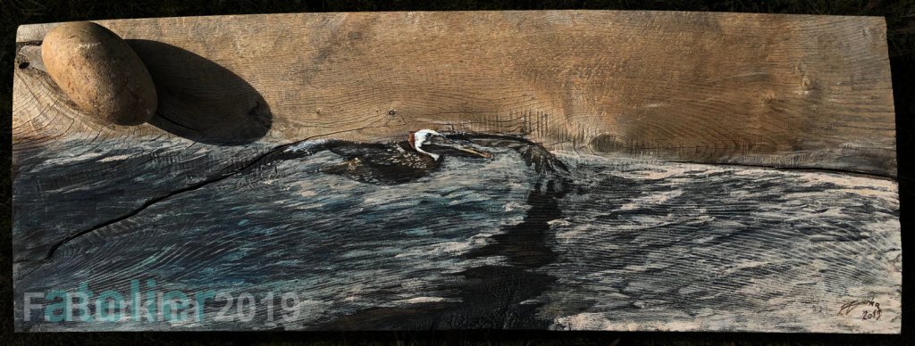 05 ICONOGRAPHIE DES PELICANS F-Burkha 03 mars 2019