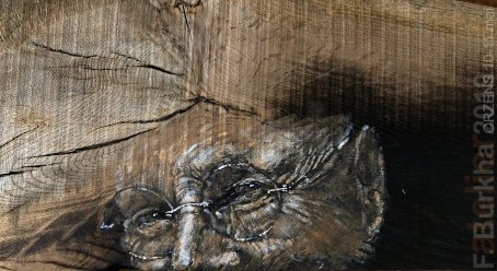 01 REGARDS 2019 Orzens F-Burkha