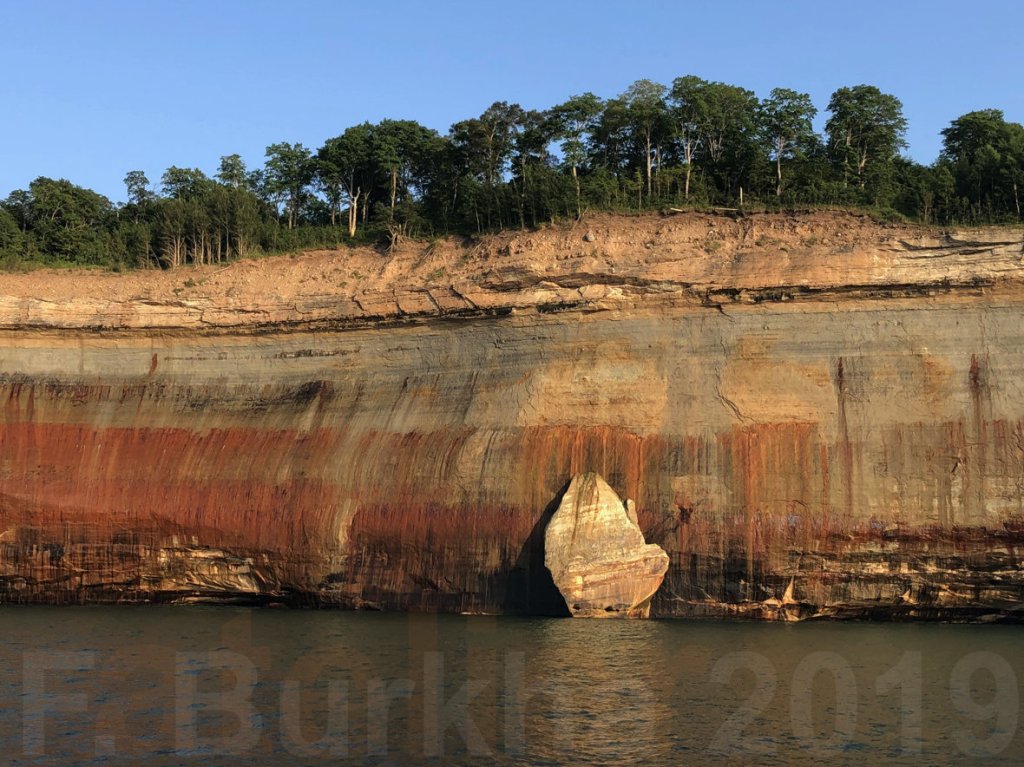 0 F-Burkha bleding forest 2019