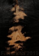 00s F-Burkha bleeding forest 2019