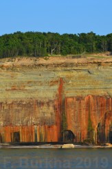 05 F-Burkha bleeding forest 2019